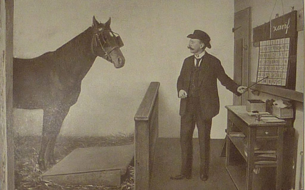 Image of Clever Hans the horse